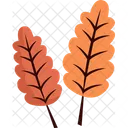 Icon Autumn Nature Icon