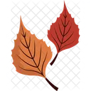 Icon Autumn Nature Icon