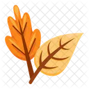 Leaves Autumn Leaves Leaf Icon