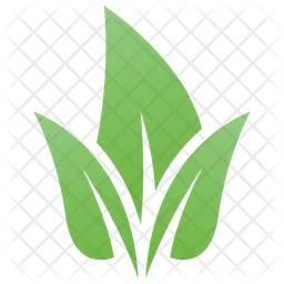 Leaves Design  Icon