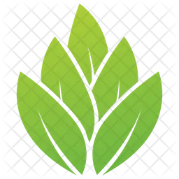 Leaves Design  Icon