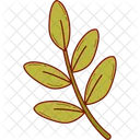 Flower Floral Plant Icon