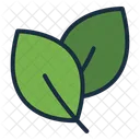 Leaves Leaf Nature Icon