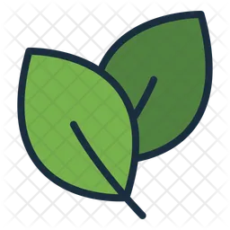 Leaves  Icon