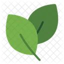 Leaves Leaf Nature Icon