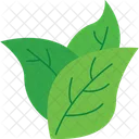 Leaves Natural Skincare Botanical Extracts Icon