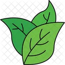 Leaves Natural Skincare Botanical Extracts Icon