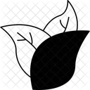 Leaves  Icon