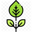 Leaves Nature Botanical Icon