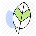 Leaves Nature Icon Eco Friendly Icon