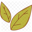 Leaves  Icon