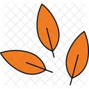 Leaves  Icon