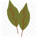 Leaves  Icon