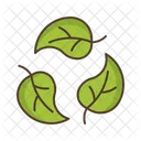 Leaves Icon