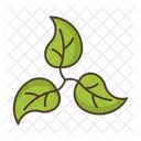 Leaves Branch Icon