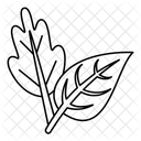 Leaves  Icon