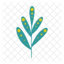 Leaves Leaf Nature Icon