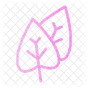 Leaves  Icon