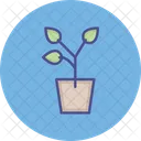 나뭇잎 식물  아이콘