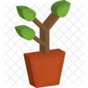 Leaves Plant  Icon