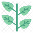 Leaves Stem  Icon