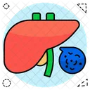 Leber Menschliches Organ Korperteil Symbol