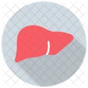 Entgiftung Hepatologie Leber Icon