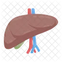 Leber Hepatologie Entgiftung Symbol