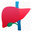 Leber Mensch Organ Symbol