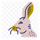 Lebre Animal Pascoa Icon