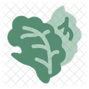 Lechuga Frescura Vegetariano Icono