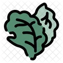 Lechuga Frescura Vegetariano Icono