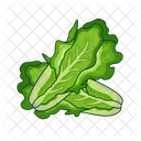 Lechuga  Icono