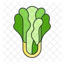 Lechuga  Icono