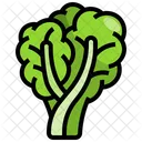 Lechuga  Icono