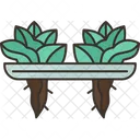 Lechuga Hidroponica Organica Icon