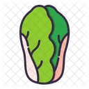 Lechuga  Icon