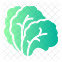 Lechuga Organica Saludable Icon