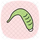 Leech Insect Worm Icon