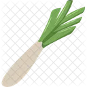 Leek Onion Vegetable Icon