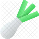 Leek Spring Onion Scallion Icon