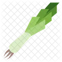 Leek  Icon