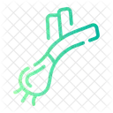Leek  Icon