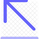Asset Icon