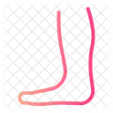 Leg Anatomy Foot Icon