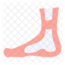 Leg Foot Human Icon