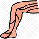 Leg Anatomy Body Icon