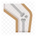 Anatomy Leg Bones Icon