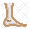 Anatomy Leg Foot Icon