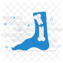Leg fracture  Icon